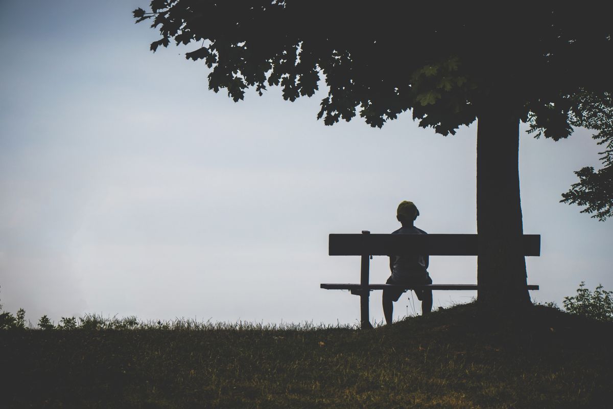 Person sitting on a bench under a tree, deep in thought