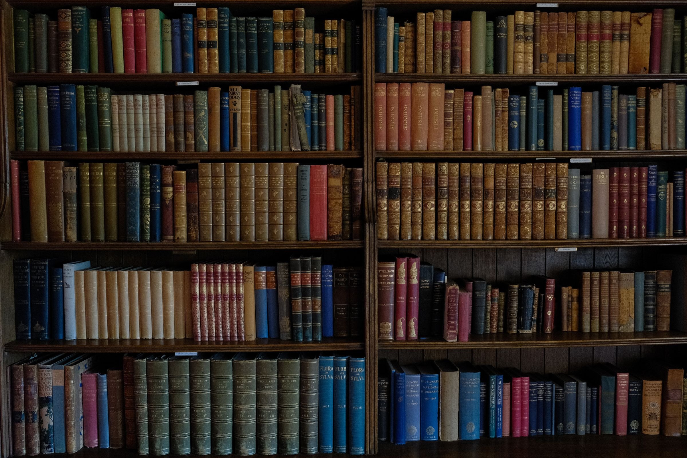 Nothing to Argue With: On Decisions, Dreams, and the Middle of the Work 5 Tall wooden shelves packed with old bound volumes in an archive