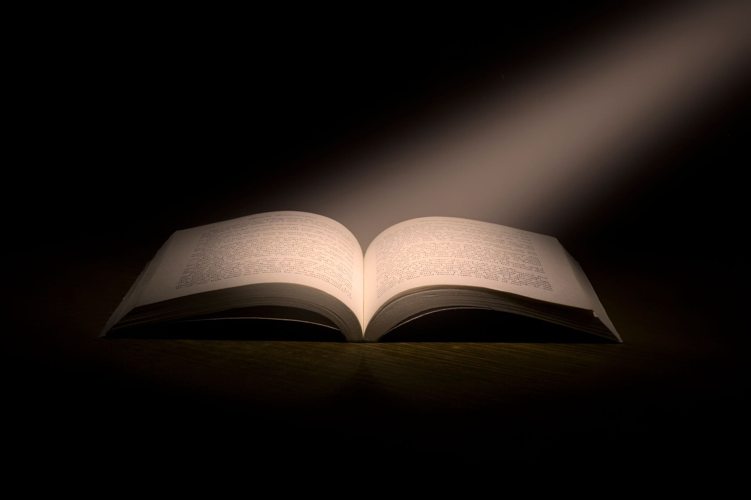 Nothing to Argue With: On Decisions, Dreams, and the Middle of the Work 4 An open book lit by a single beam of light in a dark room