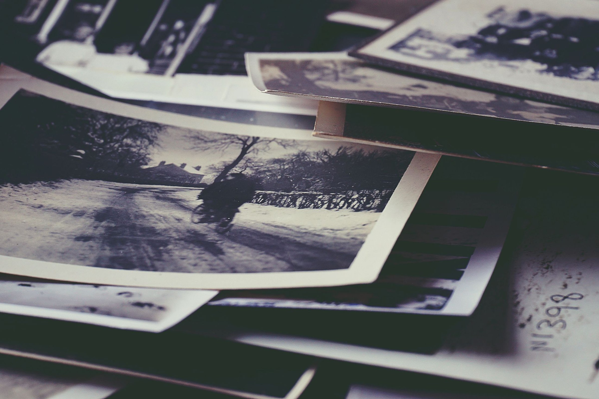 The House Can't Be Split: On Inheritance and the Ethics of Who Gets What 2 A stack of old black-and-white family photographs
